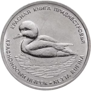 Приднестровье 1 рубль 2023 год UNC Красная книга - Красноносый нырок