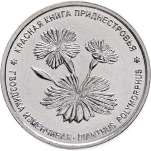 Приднестровье 1 рубль 2025 год Гвоздика изменчивая UNC UC# 530